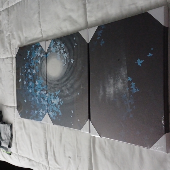 Three piece canvas frame art - Picture 5 of 7